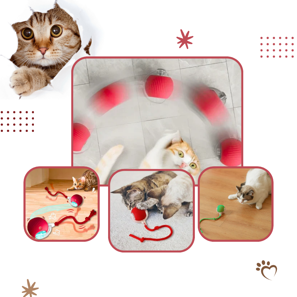 Interactive Cat Toys Ball with Motorized Rolling Motion and Rope Tail