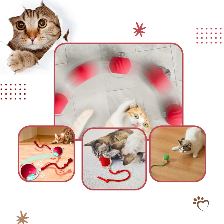 Interactive Cat Toys Ball with Motorized Rolling Motion and Rope Tail