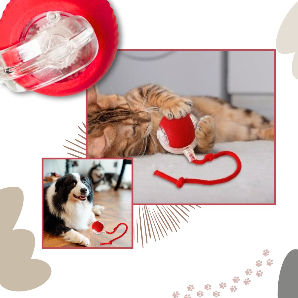 Interactive Cat Toys Ball with Motorized Rolling Motion and Rope Tail