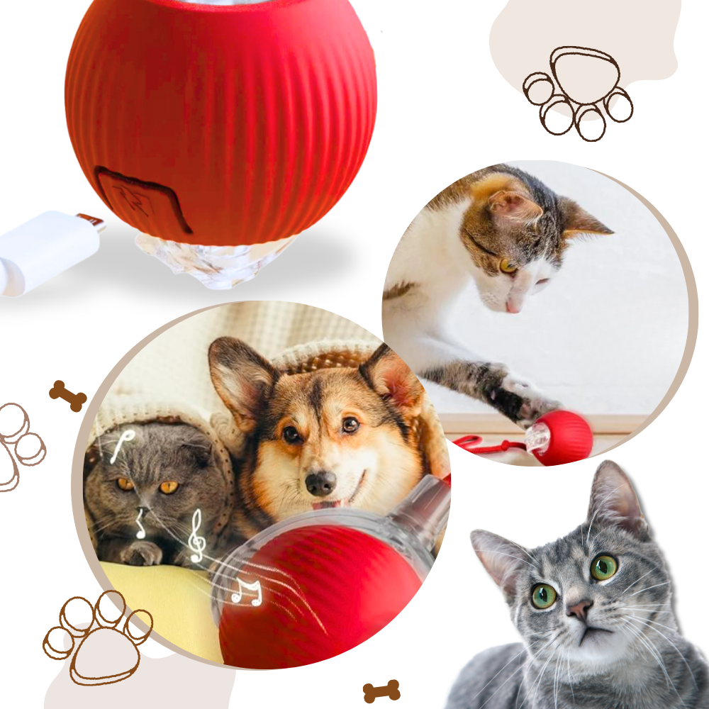 Interactive Cat Toys Ball with Motorized Rolling Motion and Rope Tail