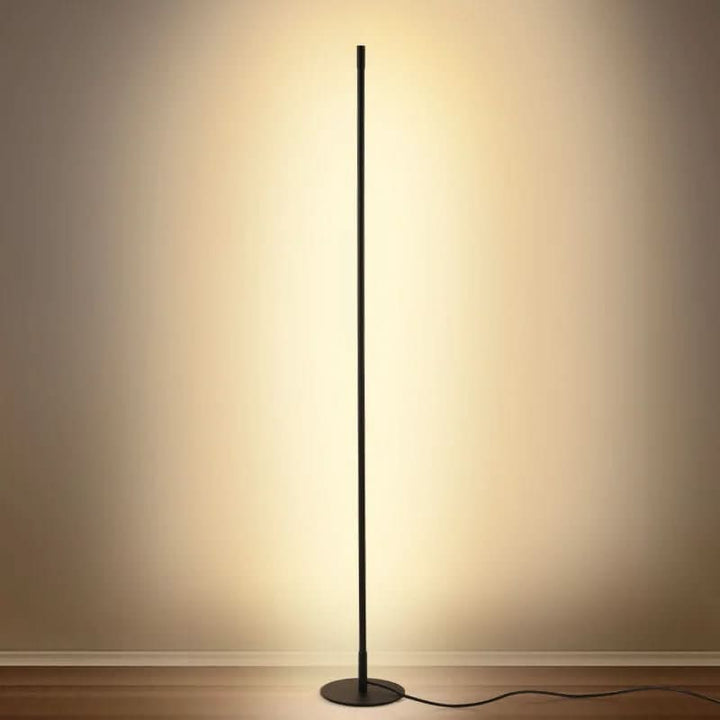 LED Floor Lamp Black Dimmable Minimalist with Slim Metal Pole and Warm White Light