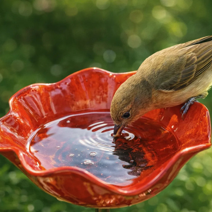 Metal Poppy Bird Bath Garden Stake – Garden and Balcony Decor, 60 cm