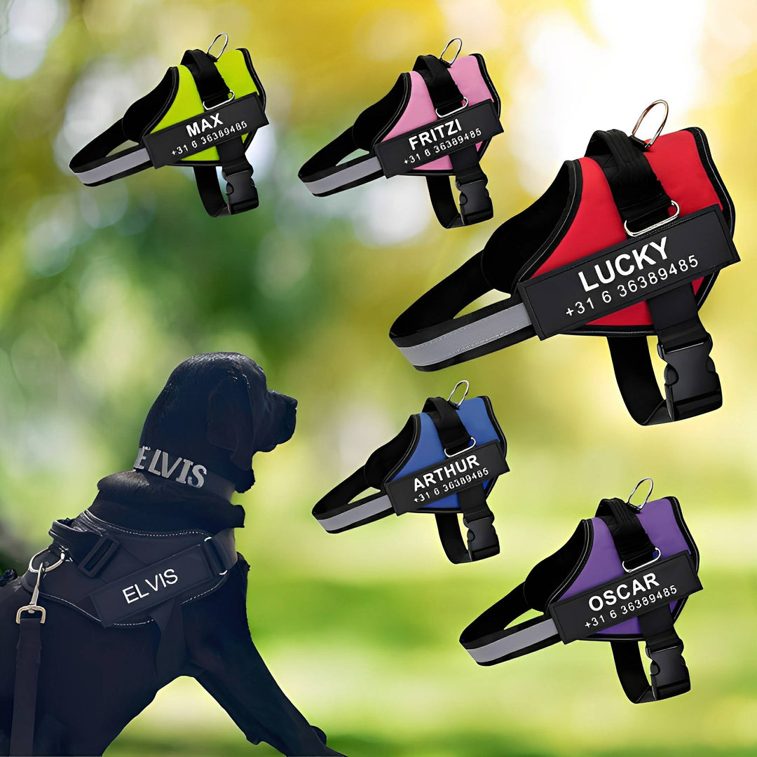 Personalizable Dog Harness – Reflective and Supportive Design