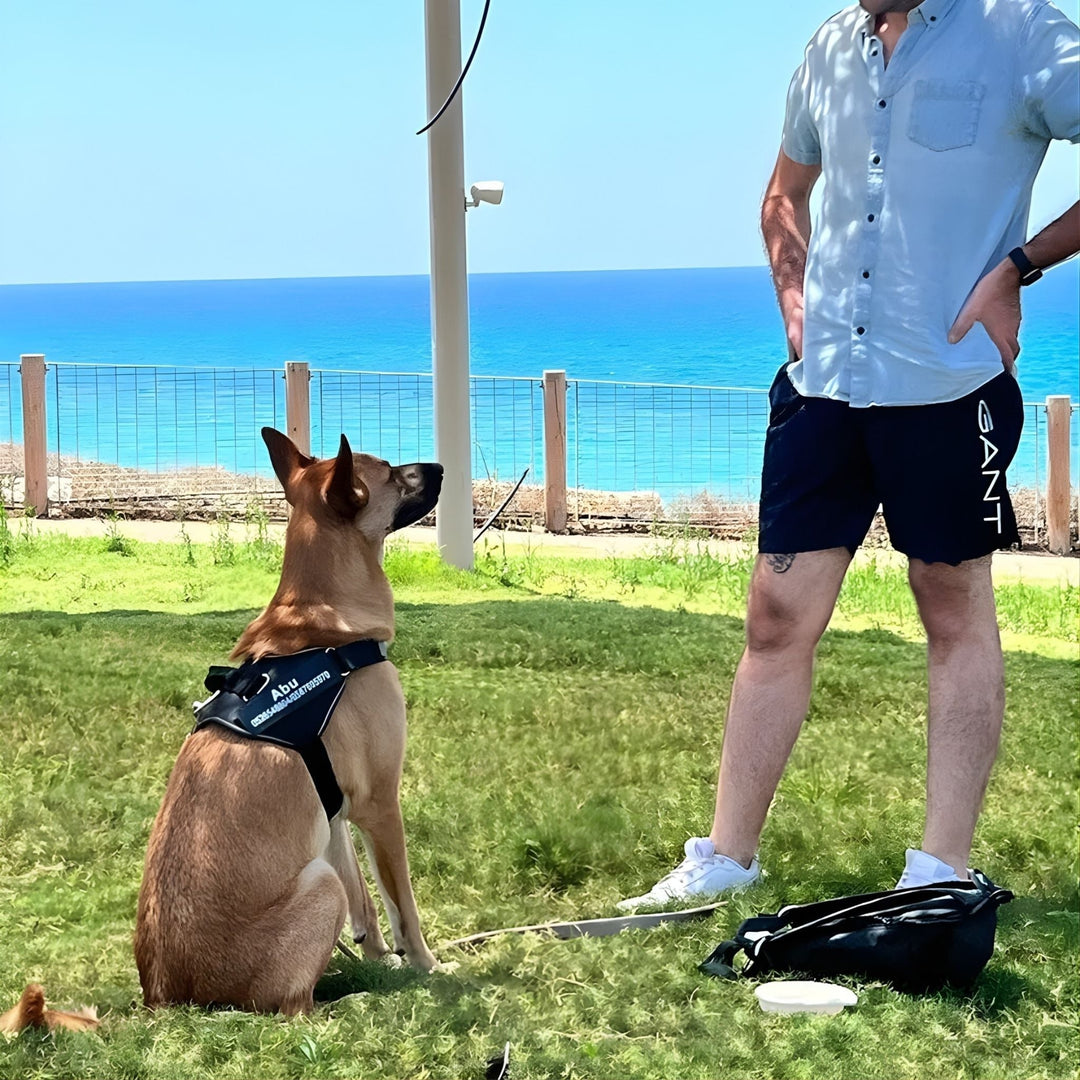 Personalizable Dog Harness – Reflective and Supportive Design