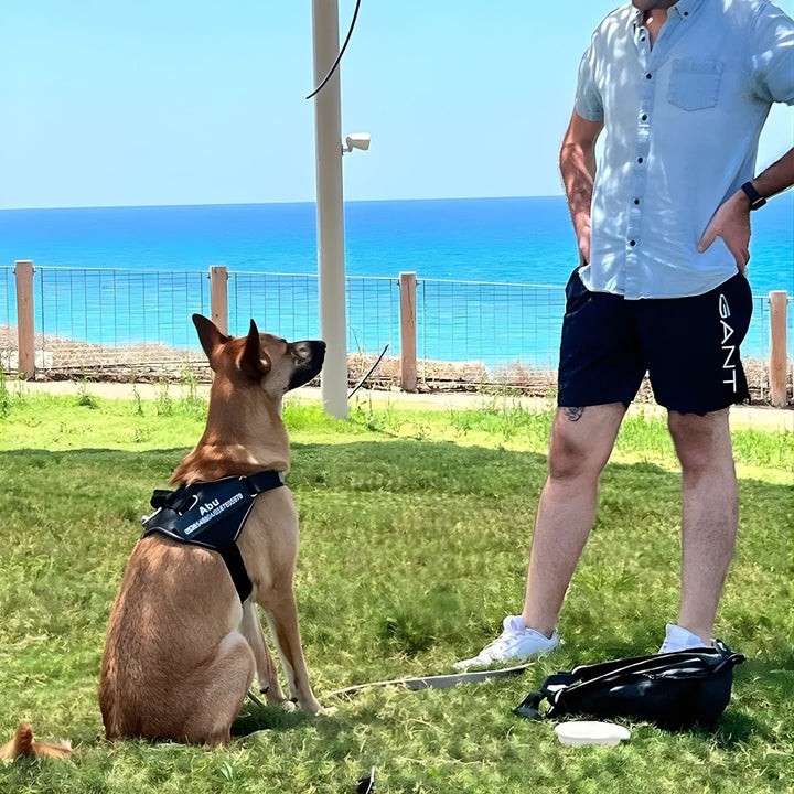 Personalizable Dog Harness – Reflective and Supportive Design