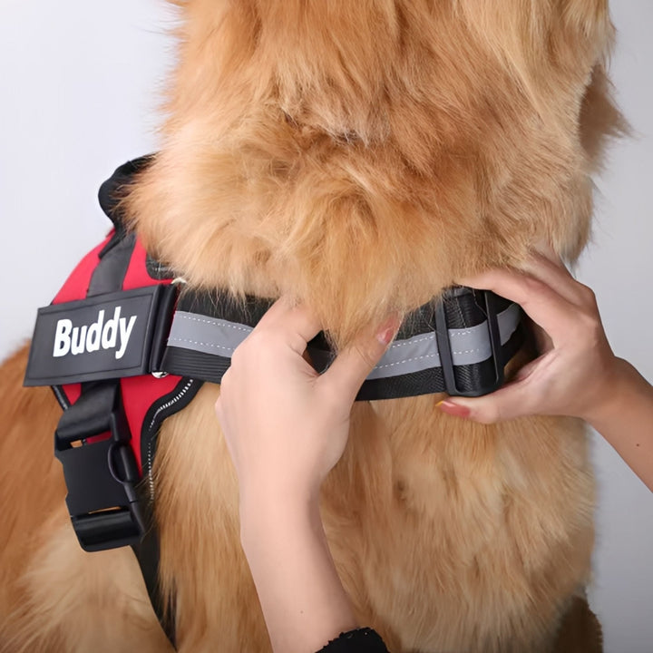 Personalizable Dog Harness – Reflective and Supportive Design