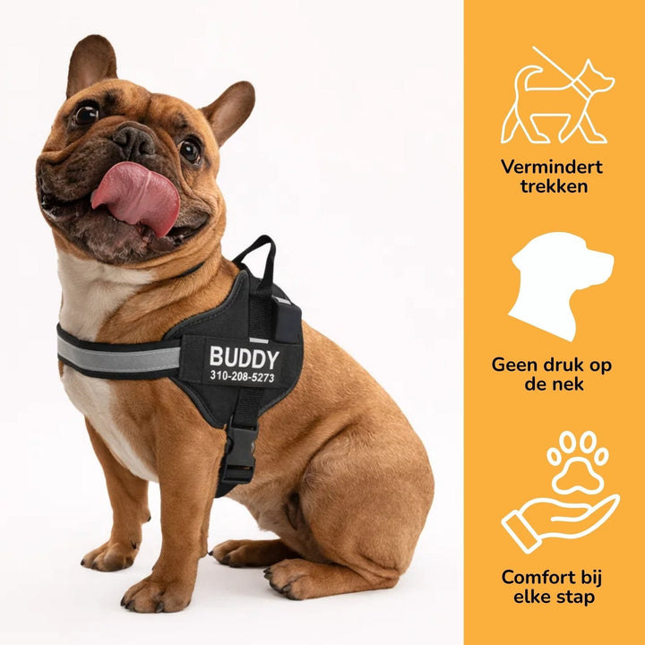 Personalizable Dog Harness – Reflective and Supportive Design