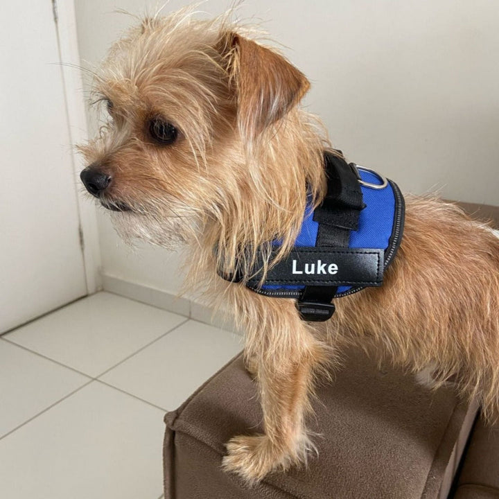 Personalizable Dog Harness – Reflective and Supportive Design