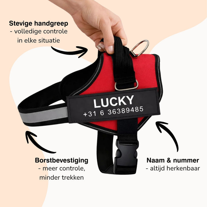 Personalizable Dog Harness – Reflective and Supportive Design