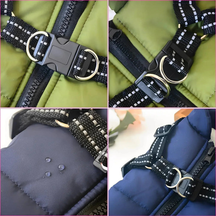 Winter Dog Coat with Built-In Harness, Padded and Lined