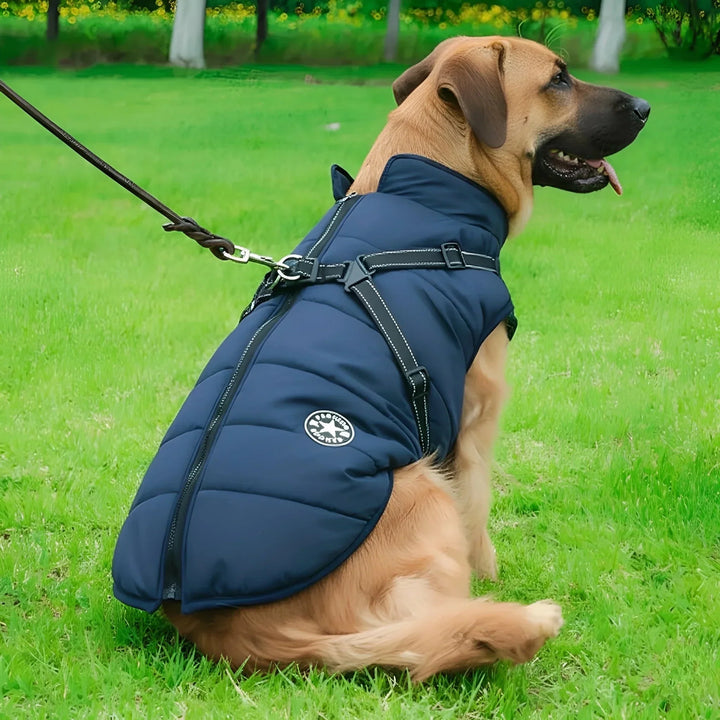 Winter Dog Coat with Built-In Harness, Padded and Lined