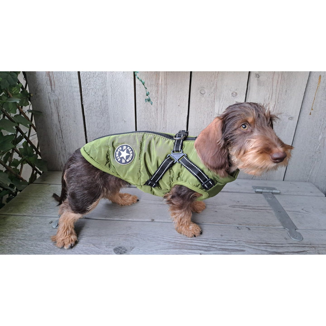 Winter Dog Coat with Built-In Harness, Padded and Lined