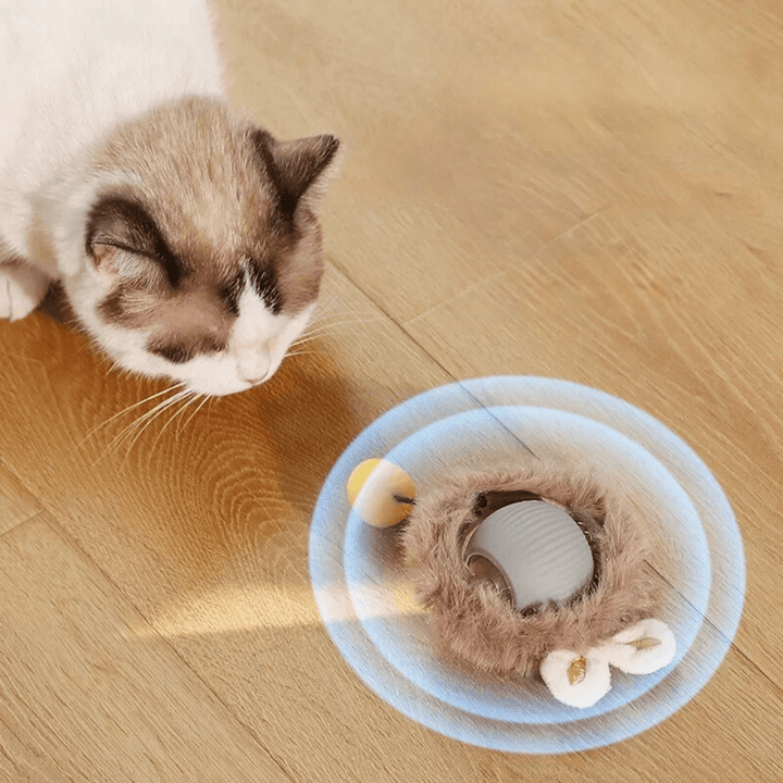 ChaseBall Interactive Chase Toy for Dogs and Cats - LED, USB