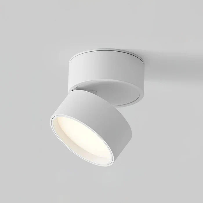 Modern Adjustable LED Ceiling Lamp