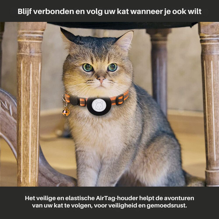 GPS Cat Collar with Reflective Design