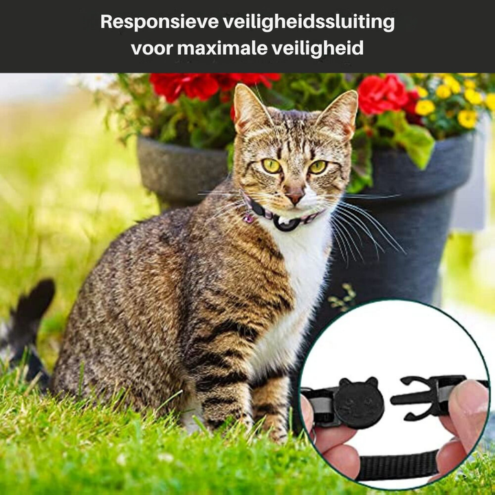 GPS Cat Collar with Reflective Design