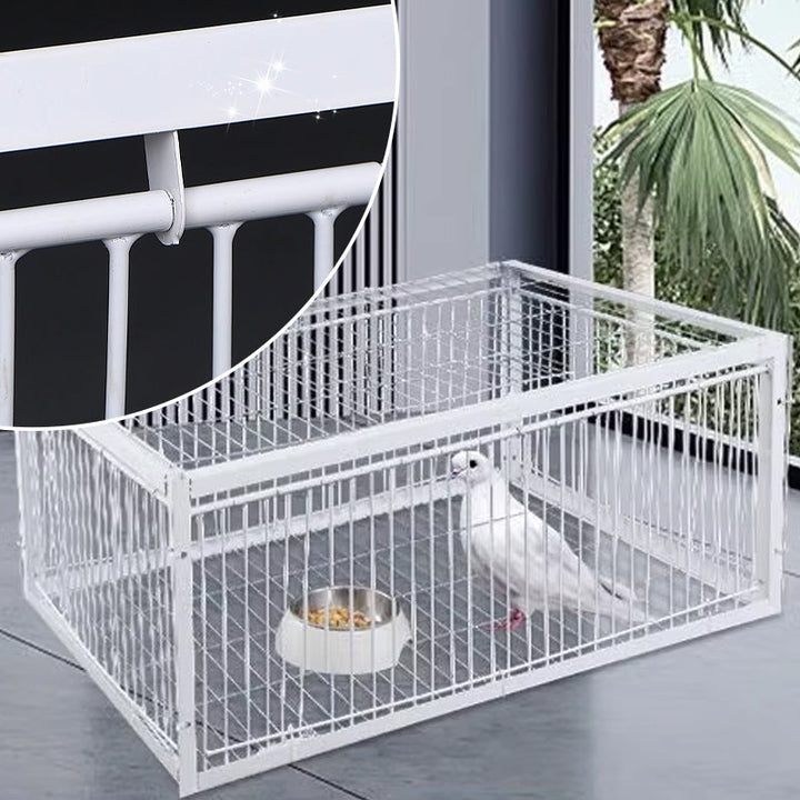Gentle Bird Trap with Anti-Return Mechanism – BirdSafe Trap