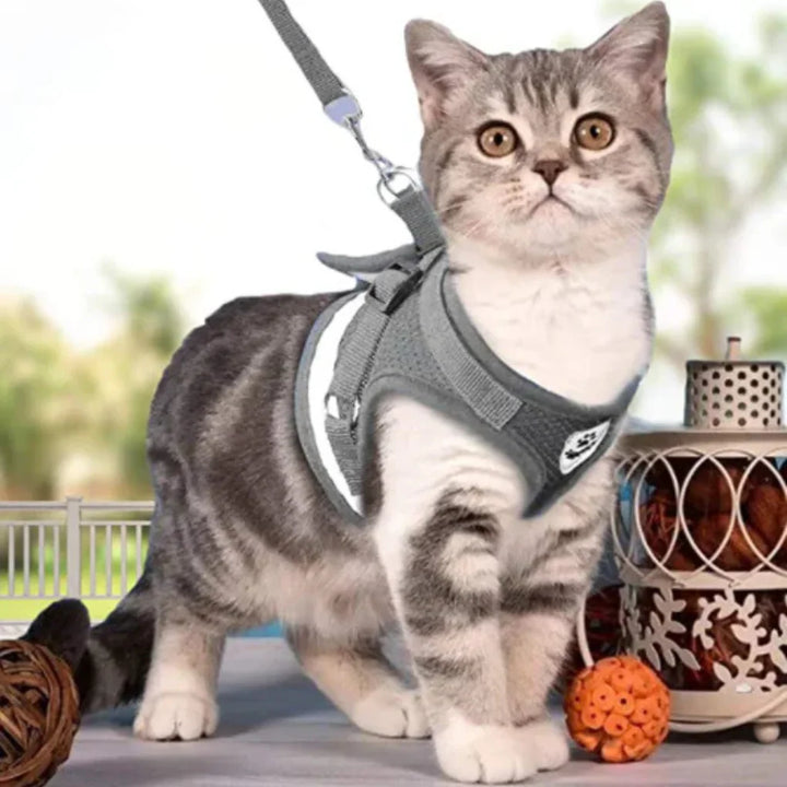 Cat Harness with Leash Set