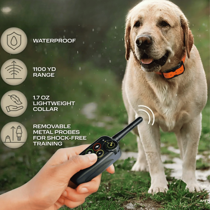 Waterproof Dog Training Collar and Shock with Remote Control and E-Collar Receiver E